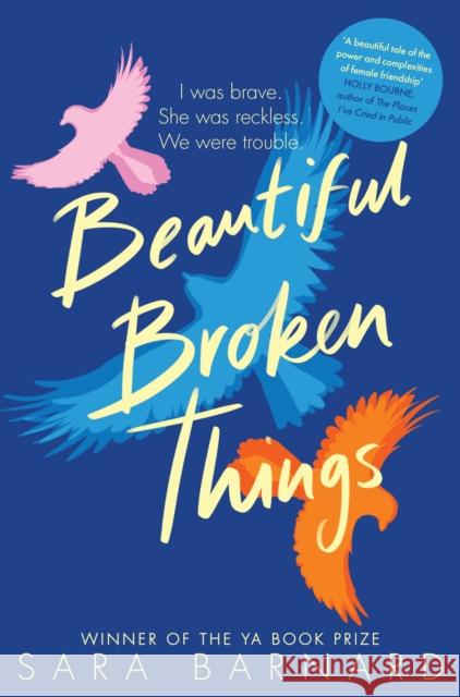 Beautiful Broken Things Sara Barnard   9781529037609 Pan Macmillan - książka