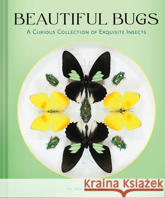 Beautiful Bugs: A Curious Collection of Exquisite Insects Bug in the Box 9781797243047 Chronicle Books - książka