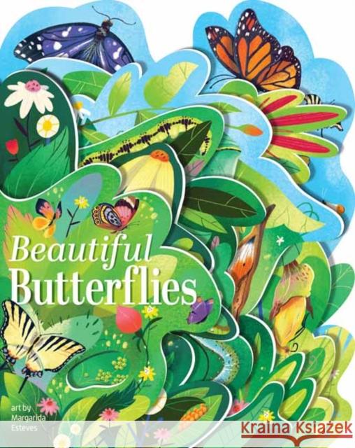 Beautiful Butterflies Margarida Esteves 9781423665182 Gibbs M. Smith Inc - książka