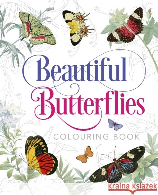 Beautiful Butterflies Colouring Book Peter Gray 9781789502701 Arcturus Publishing Ltd - książka