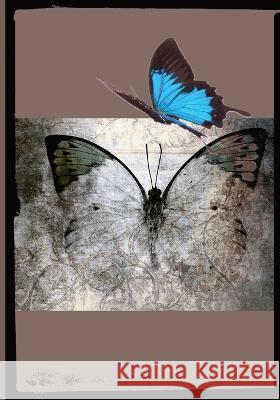 Beautiful Butterfly Tbrad Designs   9781088175934 IngramSpark - książka