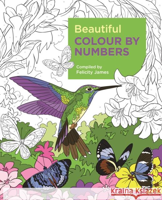 Beautiful Colour by Numbers Felicity James 9781788887687 Arcturus Publishing Ltd - książka