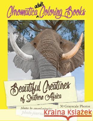 Beautiful Creatures of Southern Africa: An Adult Coloring Book featuring the most beautiful creatures that reside in Southern Africa Morris, Dale R. 9781532937675 Createspace Independent Publishing Platform - książka