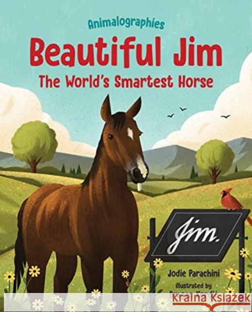 Beautiful Jim: The World's Smartest Horse Jodie Parachini 9780807506110 GLOBAL PUBLISHER SERVICES - książka