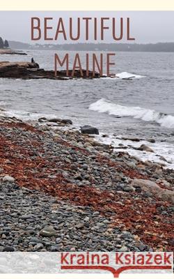 Beautiful Maine Sandra Fordyce 9798331182939 Blurb - książka