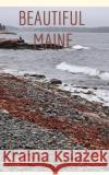 Beautiful Maine Sandra Fordyce 9798331182939 Blurb