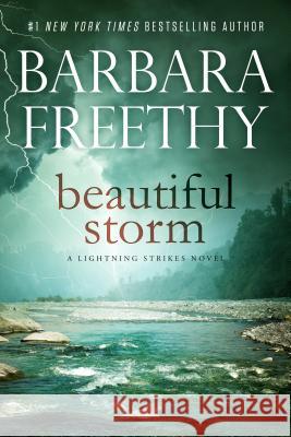 Beautiful Storm Barbara Freethy 9780996115421 Hyde Street Press - książka