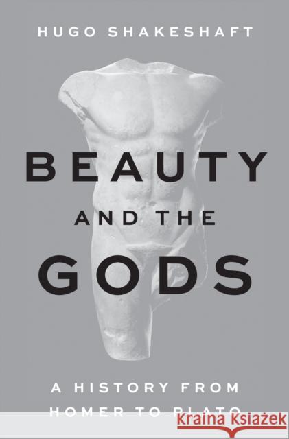 Beauty and the Gods: A History from Homer to Plato Hugo Shakeshaft 9780691250205 Princeton University Press - książka