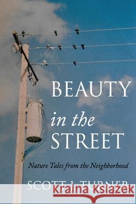 Beauty in the Street: Nature Tales from the Neighborhood Scott J Turner 9781955123273 Stillwater River Publications - książka