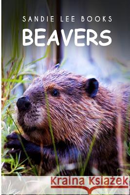 Beavers - Sandie Lee Books Curious Kids Press 9781494998752 Createspace - książka