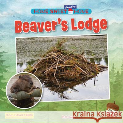 Beaver's Lodge Ruth Owen 9781788566216 Ruby Tuesday Books - książka