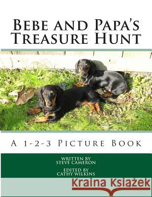 Bebe and Papa's Treasure Hunt: A 1-2-3 Picture Book Steve Cameron Cathy Wilkins 9780615863825 Cameron Group - książka