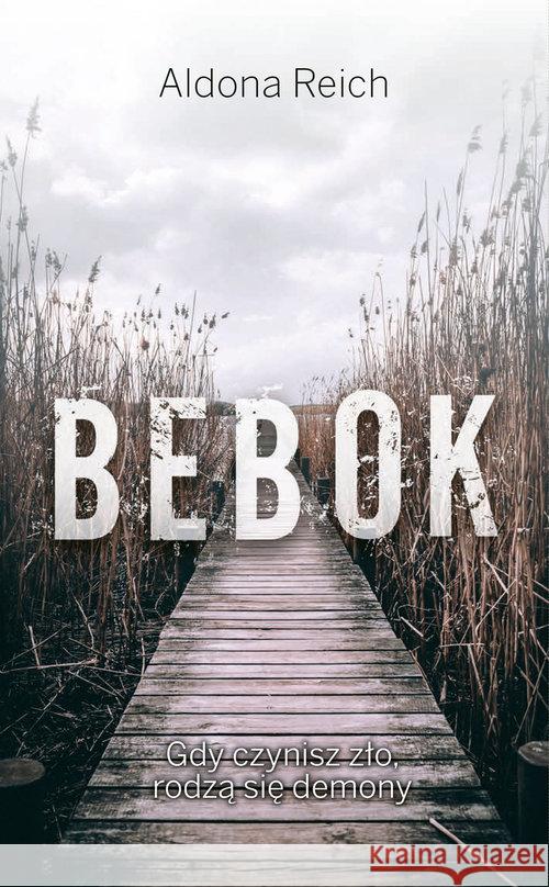 Bebok Reich Aldona 9788365950321 Vectra - książka