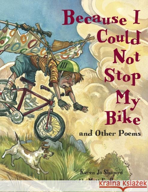 Because I Could Not Stop My Bike Karen Jo Shapiro Matt Faulkner 9781580891059 Charlesbridge Publishing,U.S. - książka