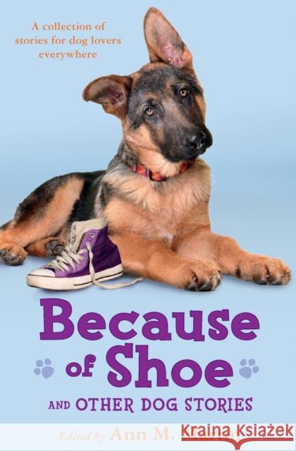 Because of Shoe and Other Dog Stories Ann M. Martin Aleksey &. Olga Ivanov Margarita Engle 9781250027283 Square Fish - książka