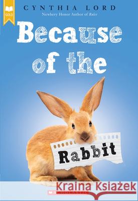 Because of the Rabbit Lord, Cynthia 9780545914260 Scholastic Inc. - książka