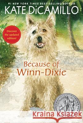 Because of Winn-Dixie Kate DiCamillo 9781536214352 Candlewick Press (MA) - książka