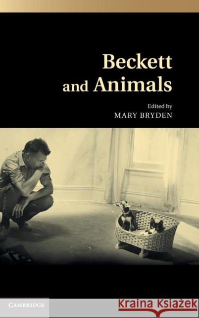 Beckett and Animals Mary Bryden 9781107019607  - książka