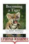 Becoming a Tiger: How Baby Animals Learn to Live in the Wild Susan McCarthy 9780060934842 Harper Perennial