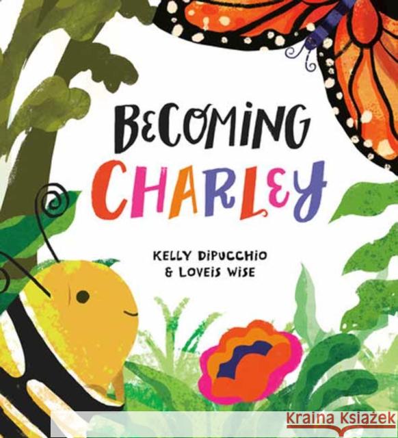 Becoming Charley Kelly Dipucchio Loveis Wise 9780593429044 Alfred A. Knopf Books for Young Readers - książka