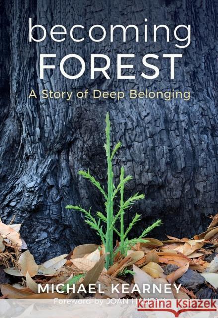 Becoming Forest: A Story of Deep Belonging Michael Kearney Tess Leak 9781632261045 All Night Books - książka