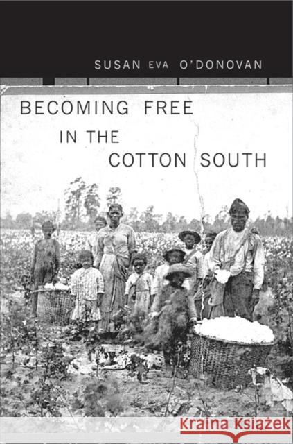 Becoming Free in the Cotton South Susan Eva O'Donovan 9780674045651 Harvard University Press - książka