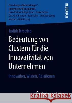 Bedeutung Von Clustern Für Die Innovativität Von Unternehmen: Innovation, Wissen, Relationen Terstriep, Judith 9783658278175 Springer Gabler - książka