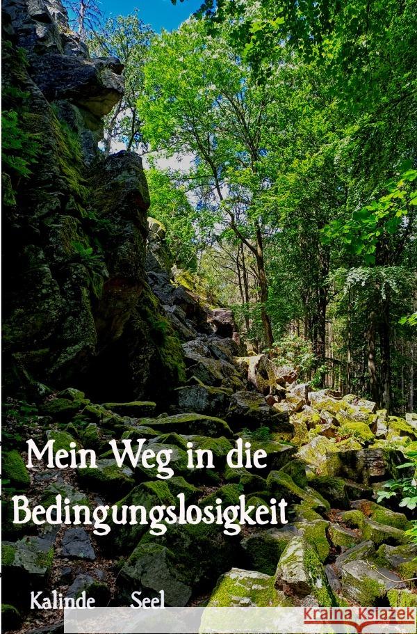 Bedingungslosigkeit leben Seel, Kalinde 9783818753672 epubli - książka