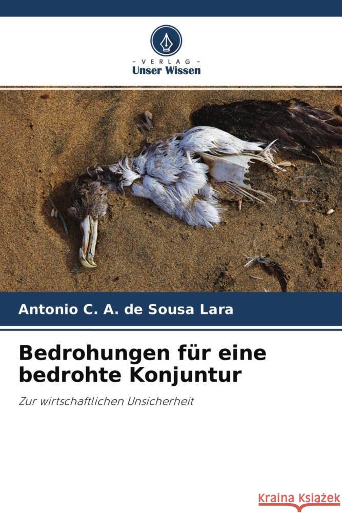 Bedrohungen für eine bedrohte Konjuntur C. A. de Sousa Lara, Antonio 9786204698809 Verlag Unser Wissen - książka