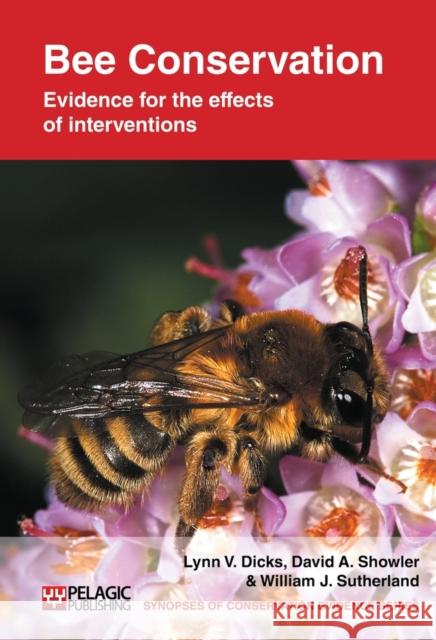 Bee Conservation: Evidence for the Effects of Interventions Dicks, Lynn V. 9781907807008 Pelagic Publishing Ltd - książka