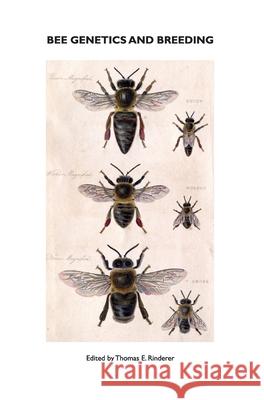 Bee Genetics and Breeding T E Rinderer 9781914934032 Northern Bee Books - książka