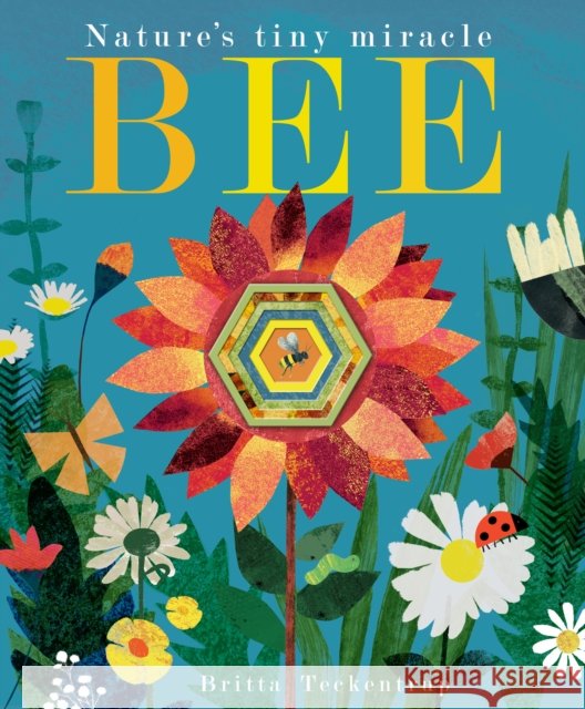 Bee: Nature's tiny miracle Patricia Hegarty 9781848693166 Little Tiger Press Group - książka