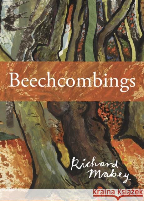 Beechcombings Richard Mabey 9781908213945 Little Toller Books - książka