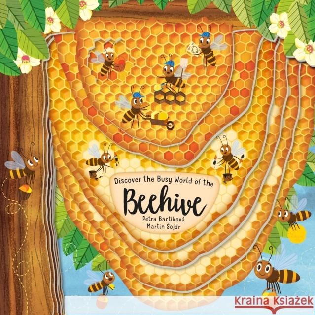 Beehive Petra Bartikova 9781641240864 Fox Chapel Publishing - książka