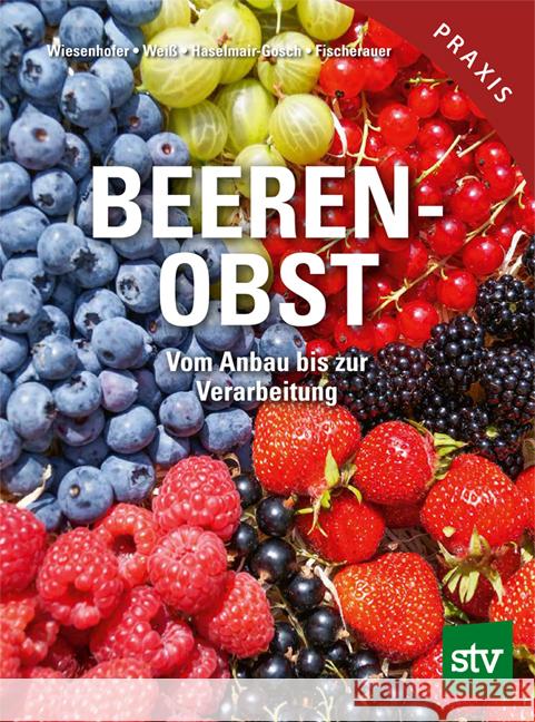 Beerenobst Fischerauer, Andreas, Gosch, Christian, Weiß, Helmut 9783702022976 Stocker - książka