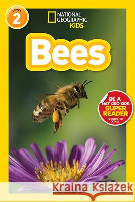 Bees National Geographic Kids 9781426322815 National Geographic Society - książka