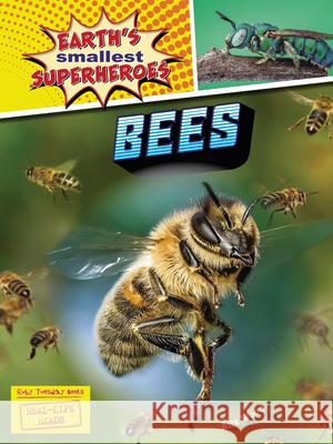 Bees Alix Wood 9781788564564 Ruby Tuesday Books - książka