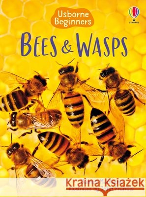 Bees and Wasps James MacLaine John Francis 9781835409770 Usborne Books - książka