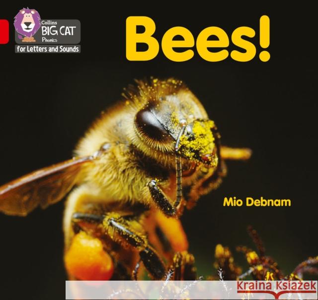 Bees!: Band 02b/Red B Debnam, Mio 9780008442217 HarperCollins Publishers - książka