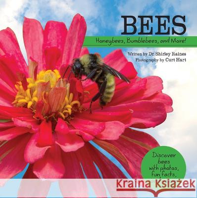 Bees: Honeybees, Bumblebees, and More! Shirley Raines Curt Hart 9781486726318 Flowerpot Press - książka