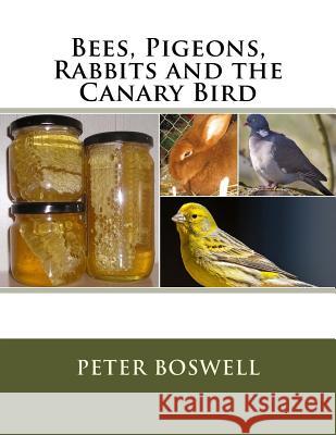 Bees, Pigeons, Rabbits and the Canary Bird Jackson Chambers Peter Boswell 9781546694649 Createspace Independent Publishing Platform - książka