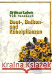 Beet-, Balkon- und Kübelpflanzen Panten, Helga   9783704024213 AV Buch - książka
