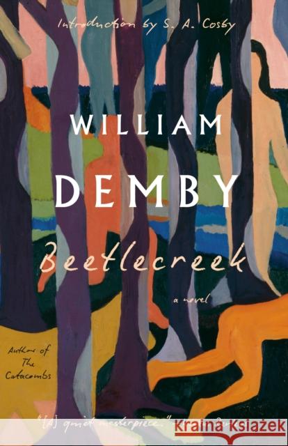 Beetlecreek: A Novel William Demby 9798217007318 Random House USA Inc - książka