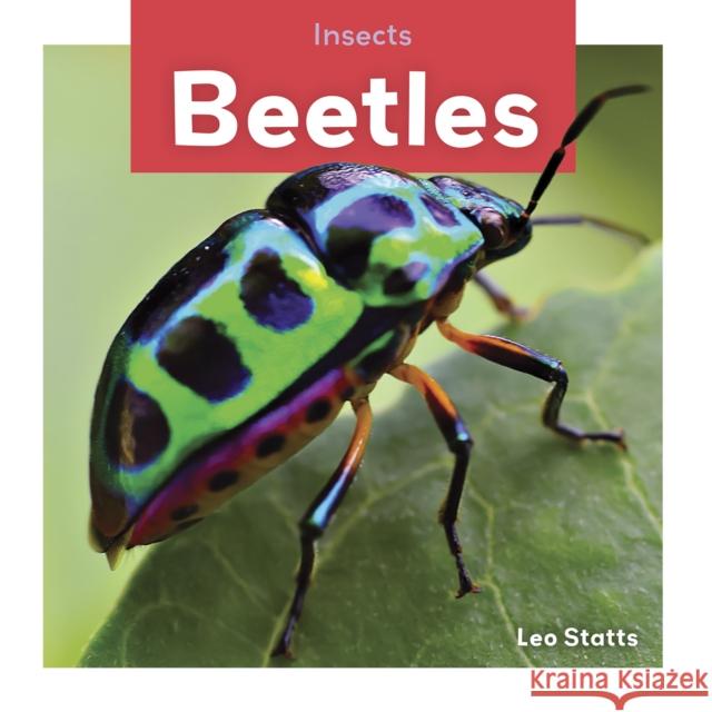 Beetles Leo Statts 9781641856515 North Star Editions - książka