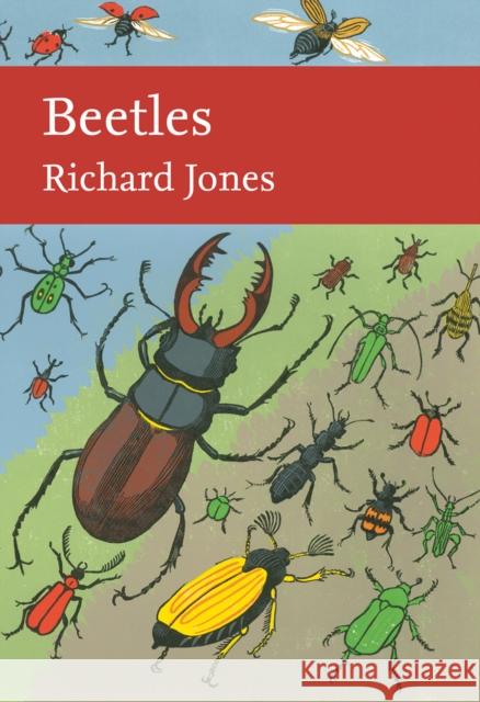 Beetles  Jones, Richard 9780008149529 Collins New Naturalist Library - książka