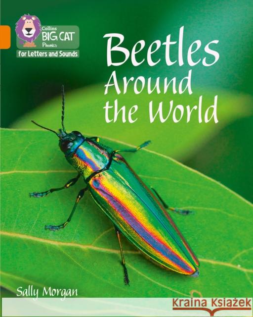 Beetles Around the World: Band 06/Orange Sally Morgan 9780008251703 HarperCollins Publishers - książka