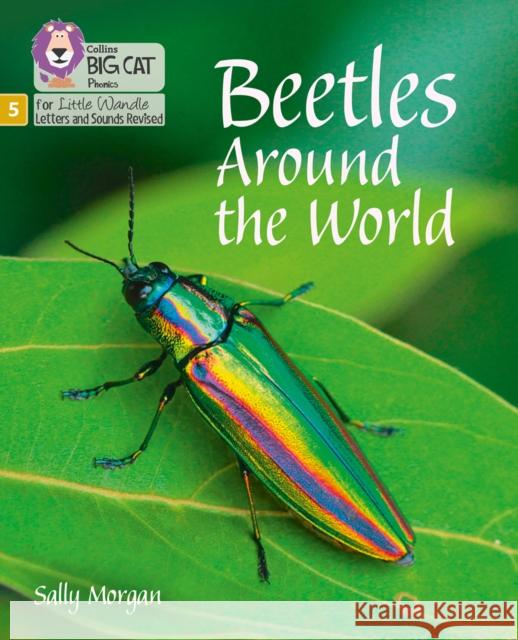 Beetles Around the World: Phase 5 Set 4 Sally Morgan 9780008504755 HarperCollins Publishers - książka