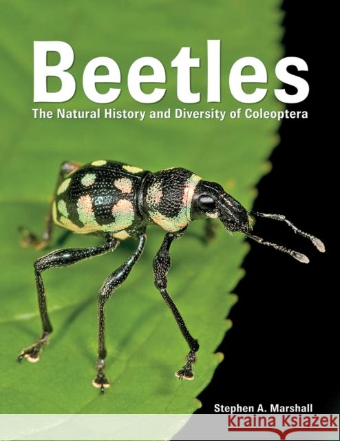Beetles: The Natural History and Diversity of Coleoptera Stephen A. Marshall 9780228100690 Firefly Books Ltd - książka