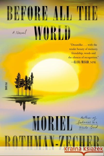 Before All the World: A Novel Moriel Rothman-Zecher 9781250872166 Picador - książka