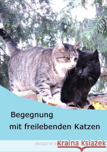 Begegnung mit freilebenden Katzen. Regitz, Brigitte 9789403762593 Bookmundo - książka